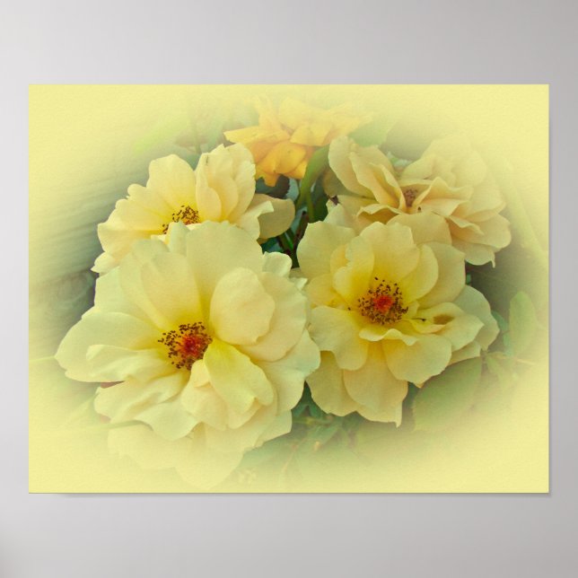 Poster Rosas Amarelas (Frente)