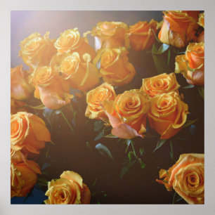 Poster Rosas amarelas