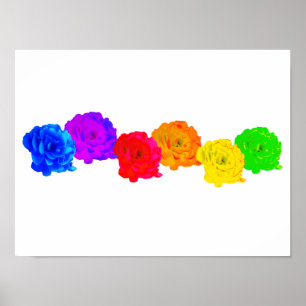 Poster Rosas arco-íris