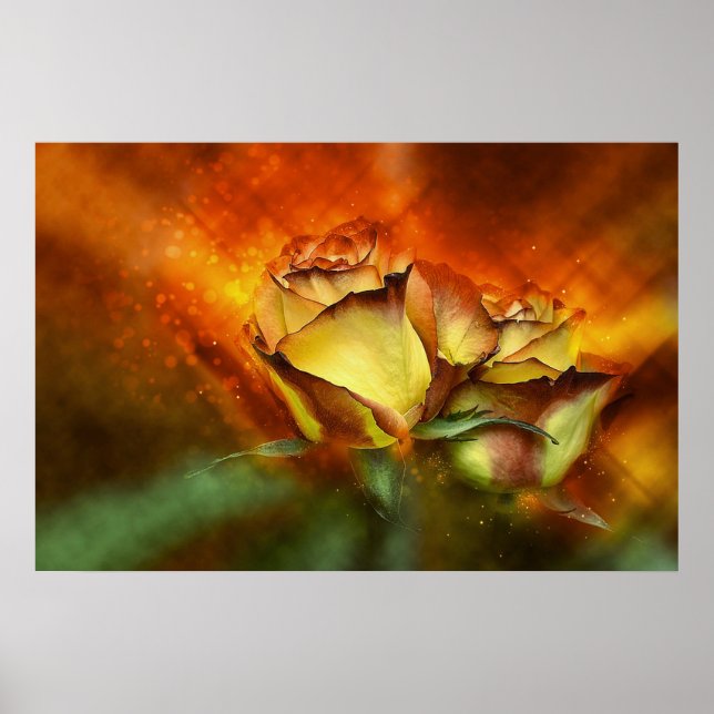 Poster Rosas bonitas (Frente)