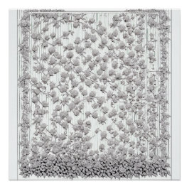 Pôster Rosas brancas A