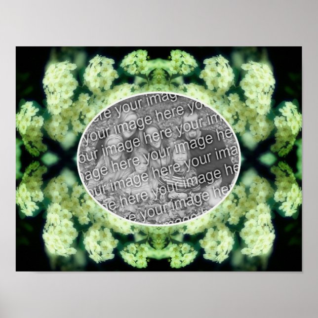 Poster Rosas Brancas Agrestes e Exuberantes Faça a Sua Pr (Frente)