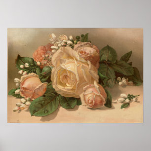 Poster Rosas cor-de-rosa