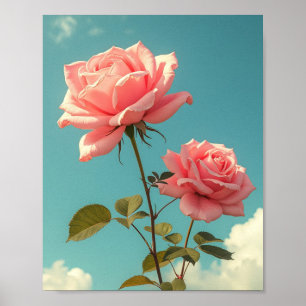 Poster Rosas Cor-de-Rosa Antigas Céu Azul Arte Floral Bot
