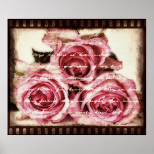 Pôster Rosas cor-de-rosa do vintage