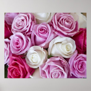 Poster Rosas cor-de-rosa em canvas