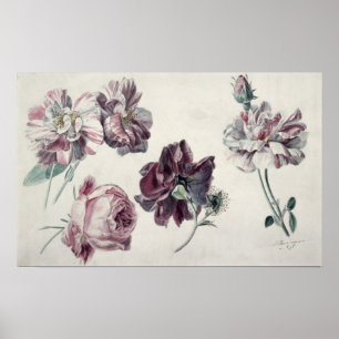 Pôster Rosas de Alma-Tadema