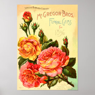 Poster Rosas De Gems Floral Cobrir De Catálogo De Sement