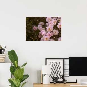 Poster Rosas românticos cor-de-rosa