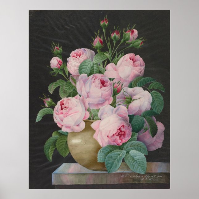 Poster Rosas rosa em um vaso - Pierre Joseph Redouté (Frente)