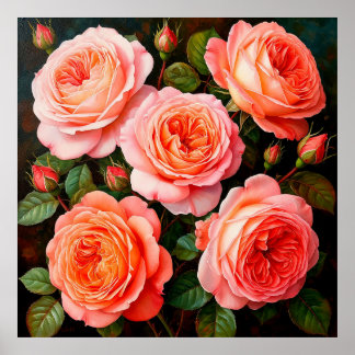 Poster Rosas Rosa Vibrantes no Sangue do Cheio