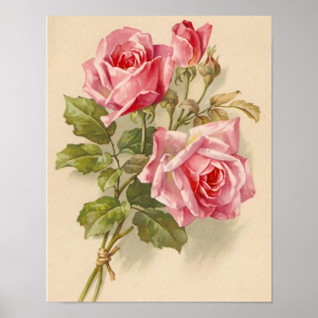 Poster Rosas Rosa Vintage (Frente)