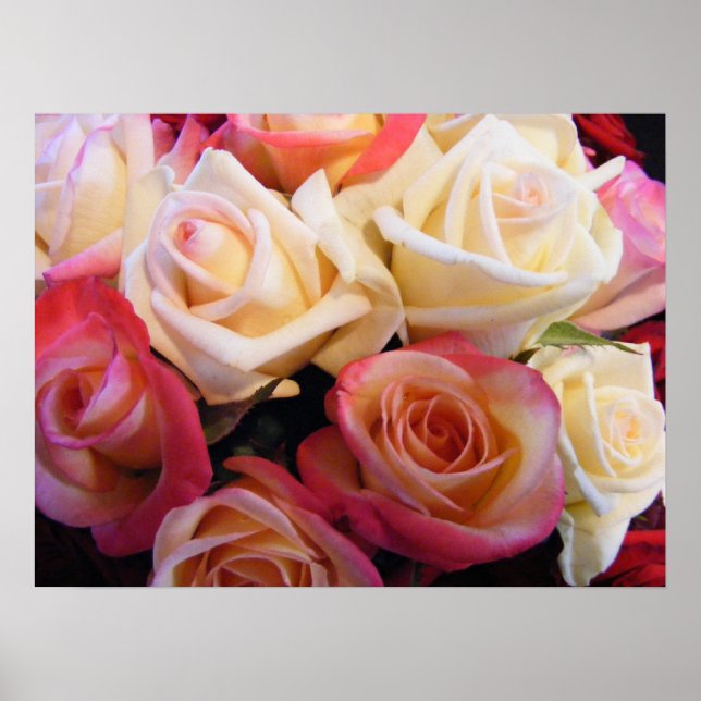 Poster rosas rosas rosas (Frente)