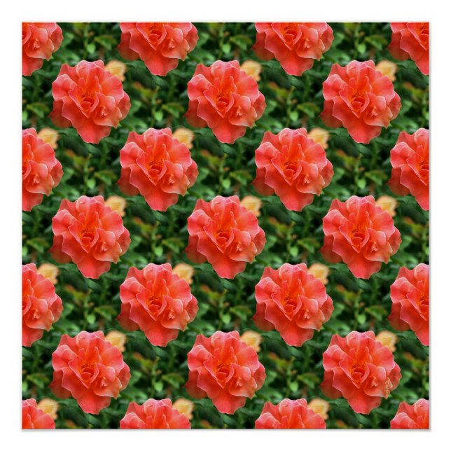 Pôster Rosas são vermelhos... (Frente)