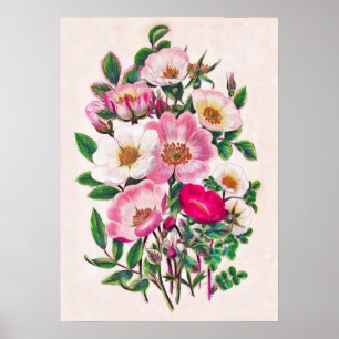 Poster Rosas selvagens