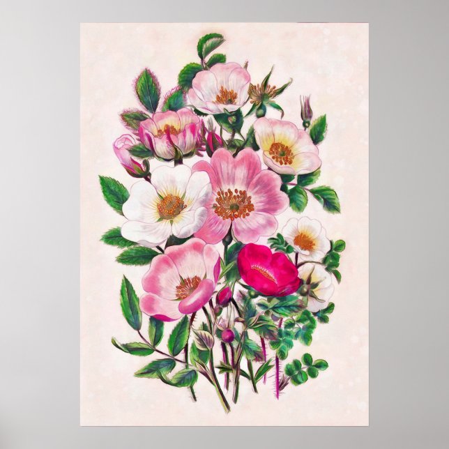 Poster Rosas selvagens (Frente)