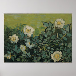 Pôster Rosas selvagens de Vincent van Gogh