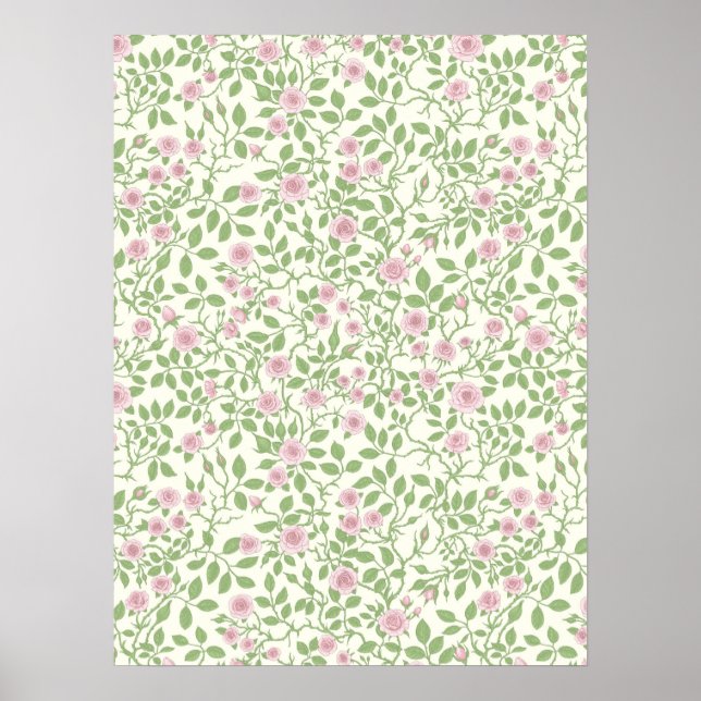 Poster Rosas silvestres (Frente)