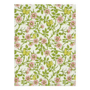 Pôster Rosas silvestres e borboletas /rosa/verde claro/am