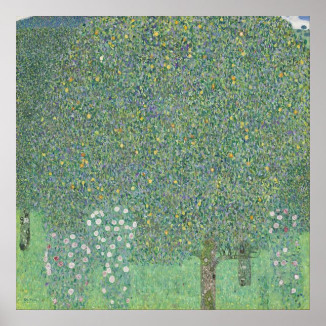 Poster Rosas sob as árvores — Gustav Klimt (1905) (Frente)