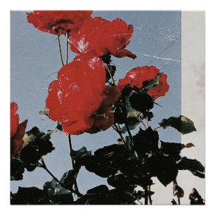 Pôster Rosas Vermelhas Antigas Contra um Céu Azul