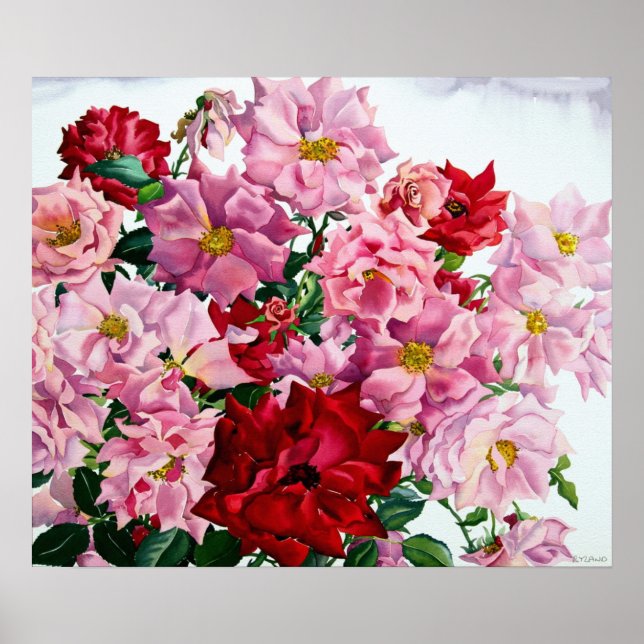 Poster Rosas Vermelhas e Rosa 2008 (Frente)