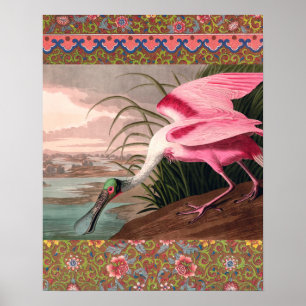 Pôster Roseate Spoonbill Audubon Bird Willife