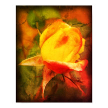 Rosebud Floral Pintura Fotográfica Em Destaque