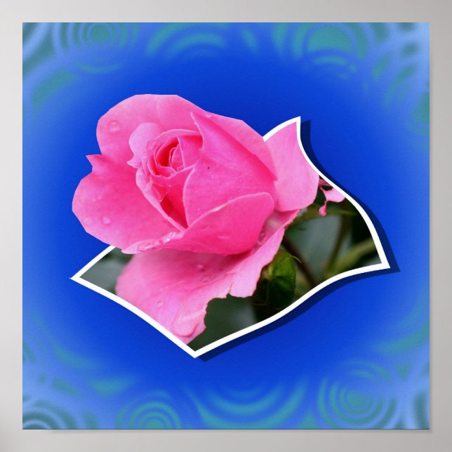 Poster Rosebud Rosa Fora Da Arte Vinculada (Frente)