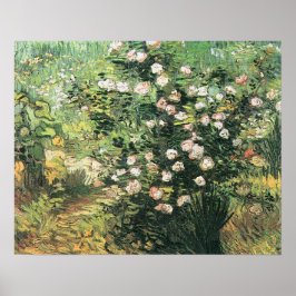 Pôster Rosebush no Blossom por Vincent van Gogh