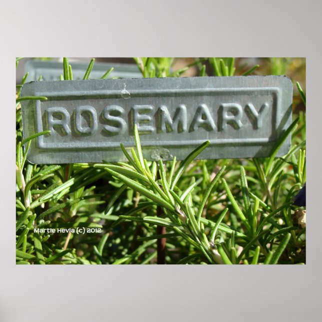 Pôster Rosemary (Frente)