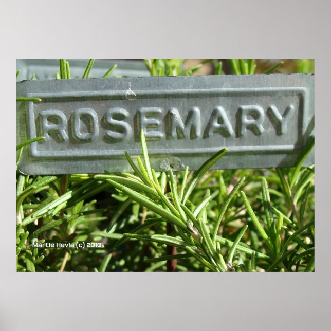 Pôster Rosemary (Frente)