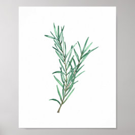 Pôster Rosemary