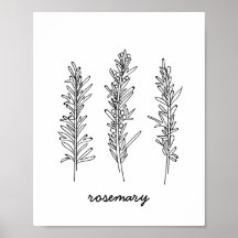 Rosemary Illustration Print
