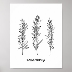 Pôster Rosemary Illustration Print