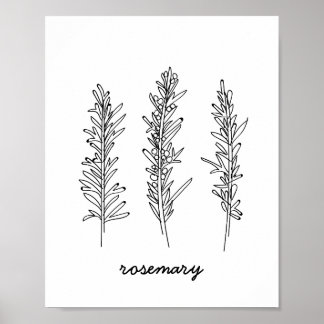 Pôster Rosemary Illustration Print