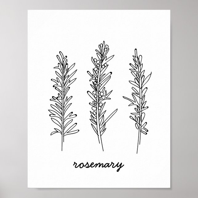 Pôster Rosemary Illustration Print (Frente)