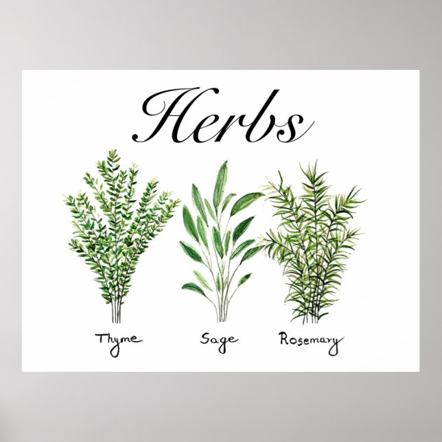 Poster Rosemary Thyme Sage Herbs Culinária Cozinha (Frente)
