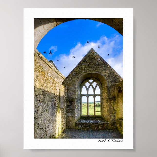 Poster Ross Errilly Friary - Irlandeses Ruins - Mini (Frente)