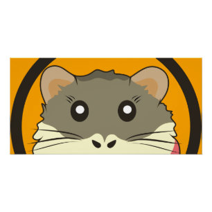 Pôster Rosto de hamster bonito com pelo colorido: Amante