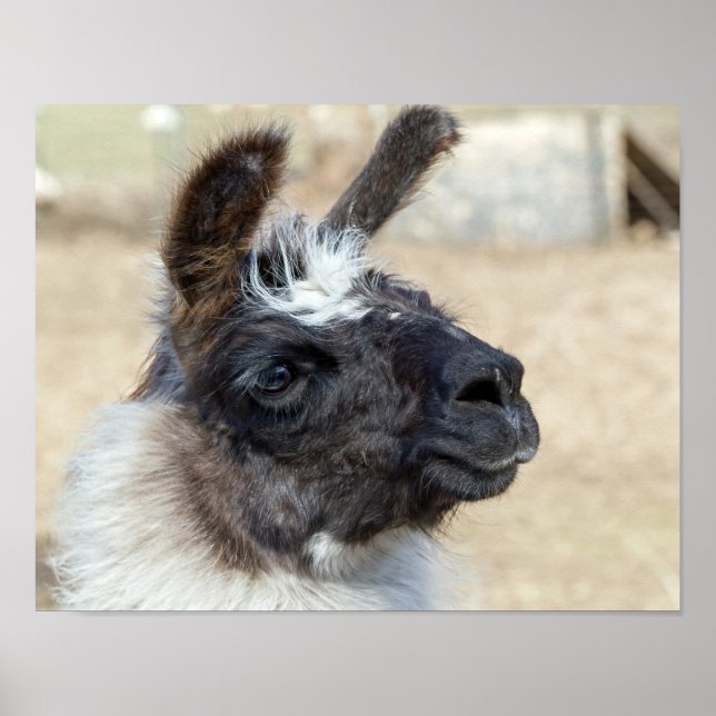 Pôster Rosto de pele (Frente)