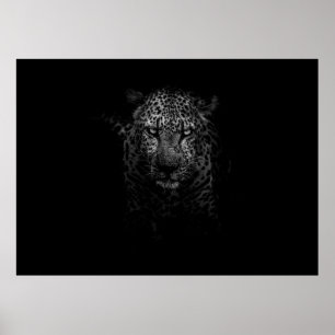 POSTER ROSTO LEOPARD
