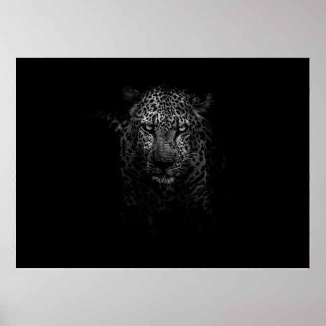 POSTER ROSTO LEOPARD (Frente)