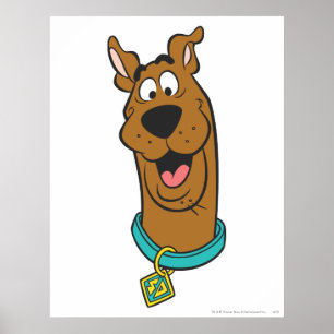 Pôster Rosto Scooby-Doo Sorrindo