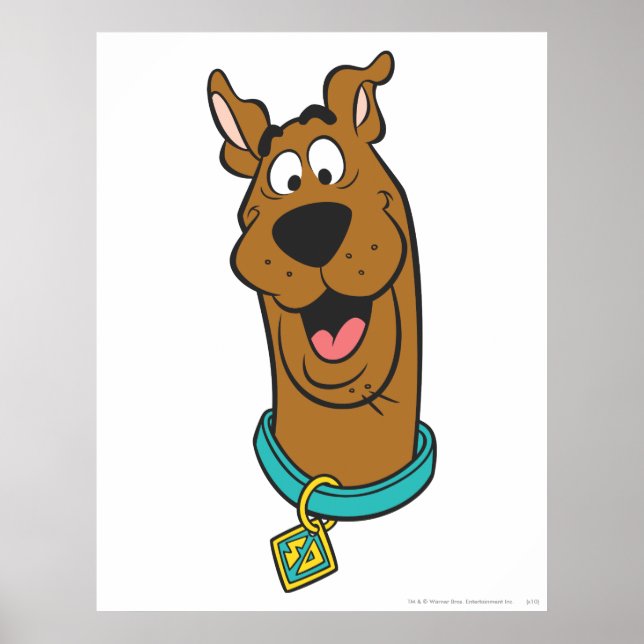 Pôster Rosto Scooby-Doo Sorrindo (Frente)