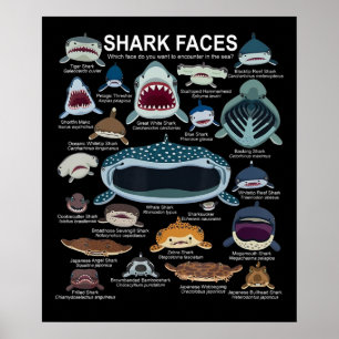 Poster Rostos De Tubarão Que Cara Você Quer Encontrar?