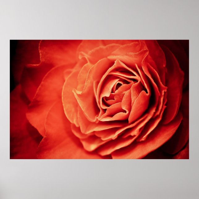 Poster rosy living (Frente)