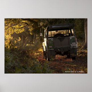 Pôster Rotas de outono