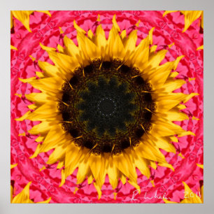 Poster Rotating sunflower