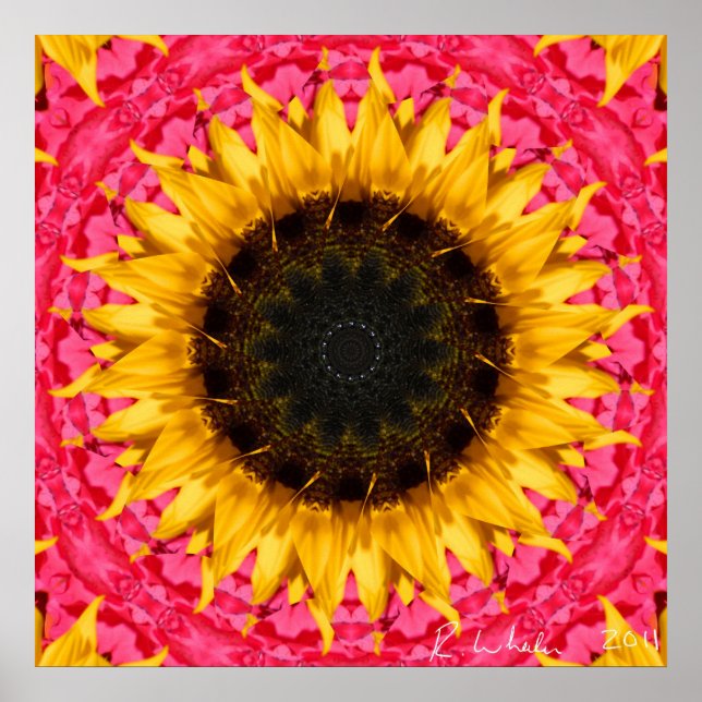 Poster Rotating sunflower (Frente)